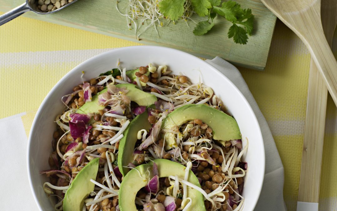 Ensalada de lentejas con brotes y palta