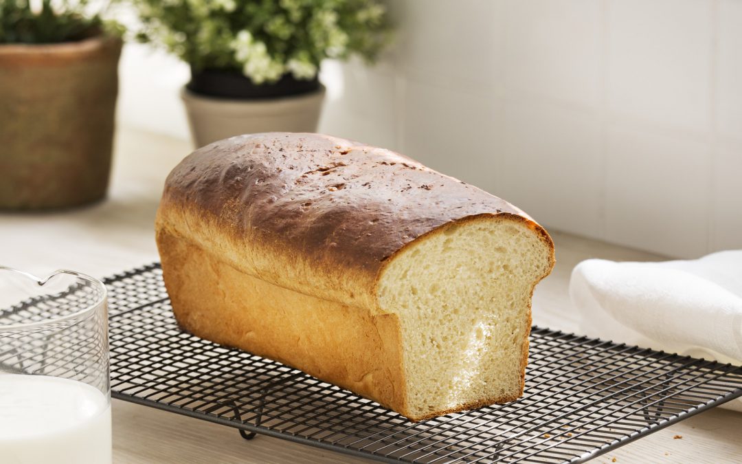 PAN DE MOLDE