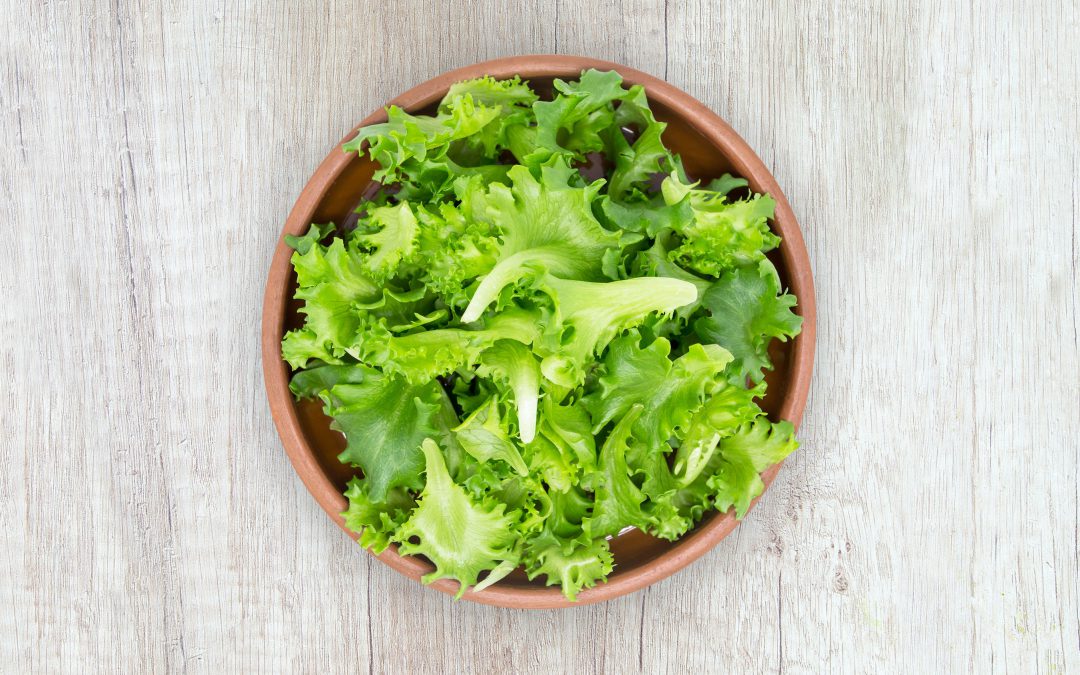 LAVAR Y PICAR LECHUGA